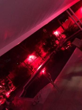 8108423760, female escort, Jackson