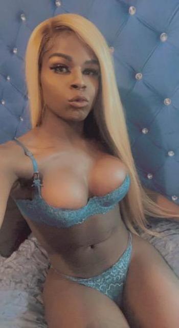 9013566355, female escort, Jackson